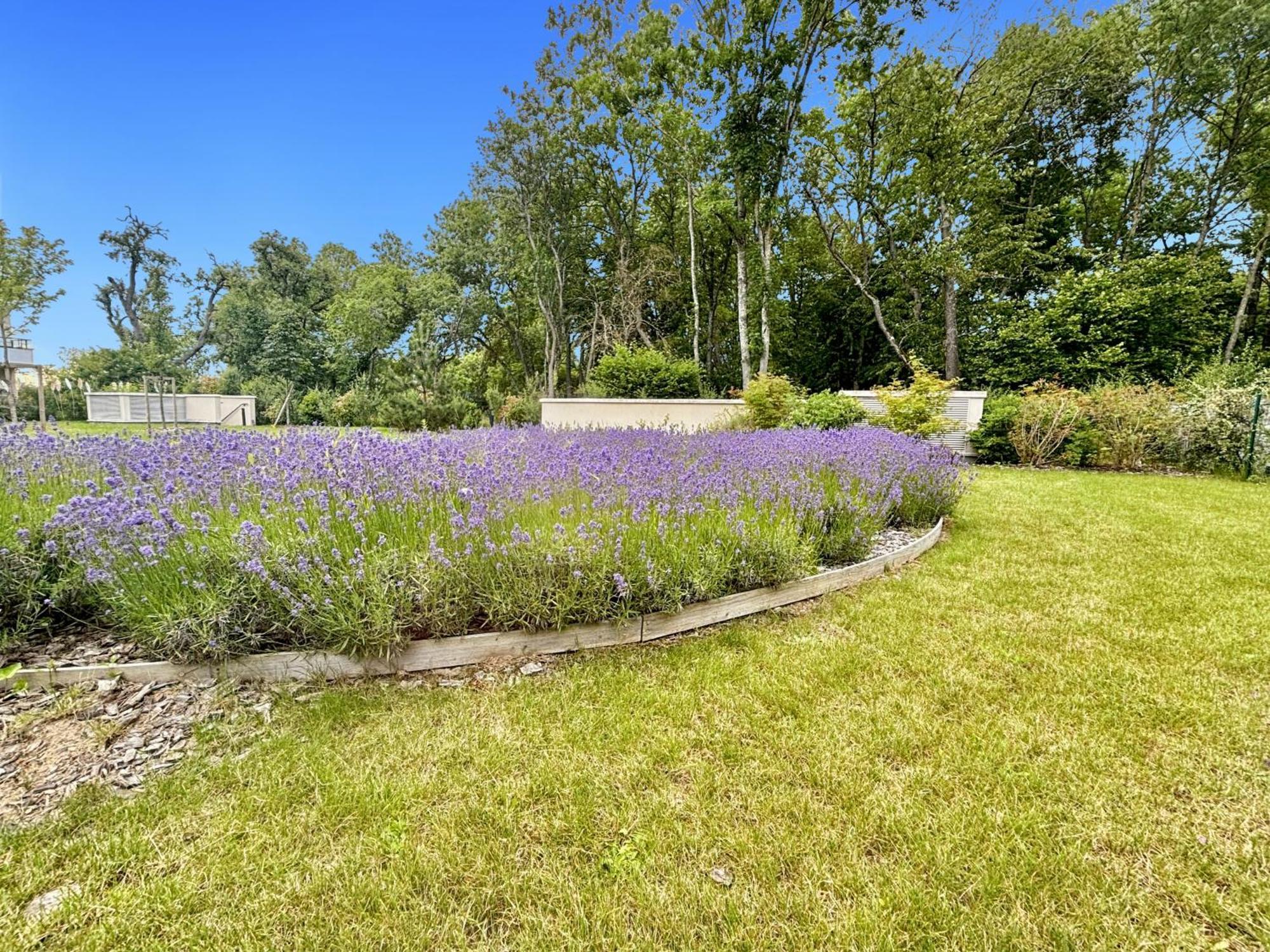 Sunny Suite Disneyland Paris - Rentaway Bnb Montévrain Exterior photo